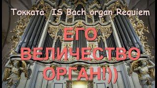 Потрясающая музыка!! И С  Бах. Орган. Токката/  I.S. Bach Organ Requiem