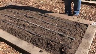 Organic Growing: Prepping Garden Beds