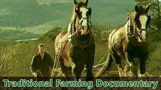 Traditional Farming Documentary -- Farm life in Ireland during the 1930s - "Preserving the Past"