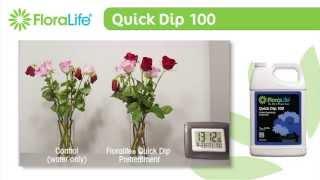 Floralife® Quick Dip 100 Time-lapse