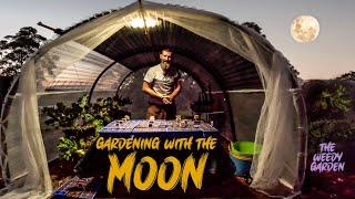 MOON PLANTING - Unlocking a Seed`s Full Potential