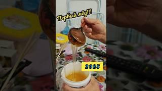 САМЫЙ РАННИЙ ЮЖНЫЙ МЁД 2025 )