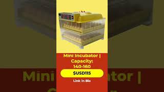 Best Mini Incubator for Efficient Egg Hatching