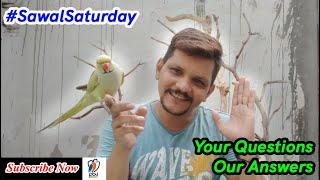 QUESTIONS AND ANSWERS SG # 3 | #SawalSaturday | PBI OFFICIAL