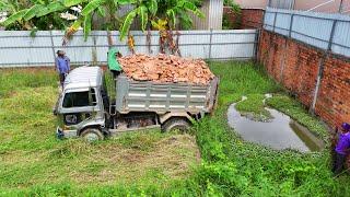 Start Perfectly New PROJECT!!Dump Truck Filling Land with Power machinery dozer Push soil