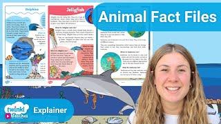 Animal Fact Files / Under The Sea Creatures