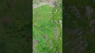 Dive в водопад #cinematic #fpv