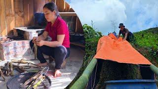 make kitchen clamps. put a rain barrel. feed the fish. they have a simple and warm life