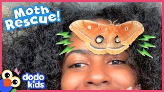 What In The World Did This Giant Moth Leave Behind? | Dodo Kids | Rescued!