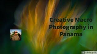 Learn creative macro photography | With Øyvind Martinsen