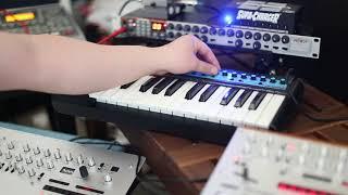 Novation Bass Station and Novation Drum Station Do "Let Beauty Loose" by Nitzer Ebb