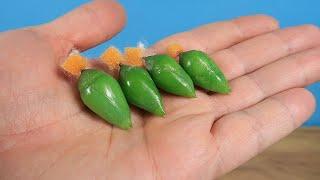 I bought four tropical butterfly pupae! How to make Butterfly at home