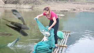 Girls cut bamboo trees in the forest to build rafts to float on the river to catch fish.