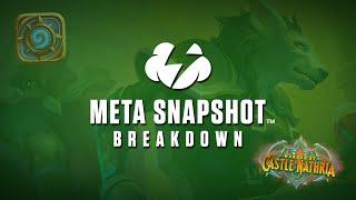 Weakness Becomes Strength | Tempo Strategy | Hearthstone Wild Meta Snapshot