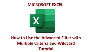 EXCEL How to Use the Advanced Filter with Multiple Criteria and Wildcard Tutorial