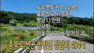 [지방도로에붙어있는접근성조은토지1,229평]마을과도200m이상떨어져민원없는곳(창고,,과수원최적지)남서향,전경이시원하답니다~#창고부지매매#과수원매매#사무실부지매매#괴산토지매매#귀농