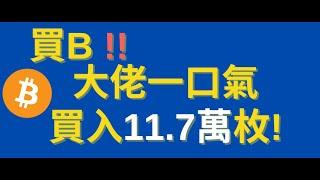 娃铐！ 大佬一口气买入比特币11.7万枚 ！看完这个视频，你就知道，你要在什么价格买入比特币？