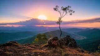 Paradise - Natalie Howard  (Surfers Paradise, Gold Coast)