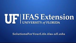 UF/IFAS Extension Provides Solutions!