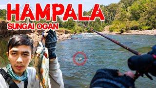 SENSASI MANCING HAMPALA DI SUNGAI AIR JERNIH | SUNGAI OGAN BATURAJA