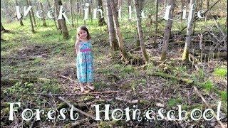 Building a Forest Treehouse | WITL Homeschooling 5 Kids | 1000 Hours Outside