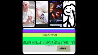 Zegarek Papieża Benedykta, Środa o zwierzętach o co chodzi? Moja własna teoria spiskowa.