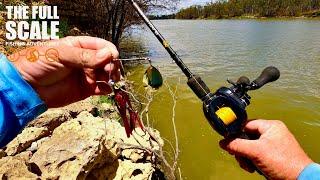 Land-based Golden Perch Lure Fishing | The Full Scale