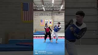 3 Basic Sparring Strategies Taekwondo - Martial Arts