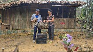 The boy gave chickens and ducks to her to raise - Make a simple chicken and duck coop from bamboo.