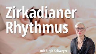 Innere Uhr und Zirkadianer Rhythmus (mit Birgit Schweyer) - Satte Sache Podcast