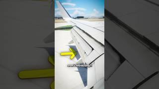 Do Pilots Forget the Flaps After Landing an Airplane?