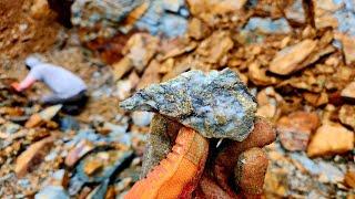 Large Quartz Vein Found In The Ditch On A New Logging Road!