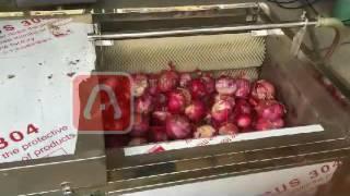 How to Peeling and Washing Onion by machine