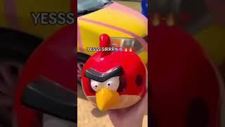 Angry Bird #memes #meme #angrybirds #funny #funnyvideo