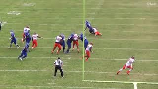 Top D2 LB/Rover Brandon Lynch Virginia State University  17-18 Highlight