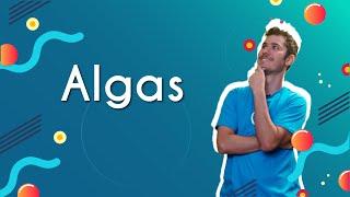 Algas - Brasil Escola