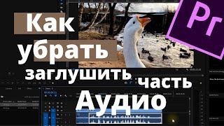 Как убрать, заглущить часть Аудио в Premiere Pro