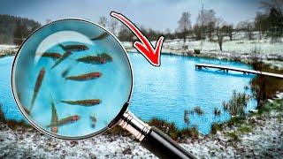 VOR 12 JAHREN HABEN WIR FISCHE IN EINEN KLEINEN TEICH GESETZT | Team Galant