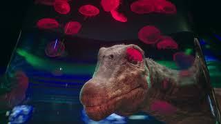 The World’s Largest Dinosaurs | California Academy of Sciences (15)