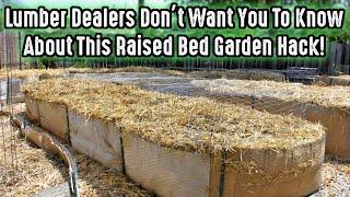 Lumber Dealers Don't Want You To Know About This Raised Bed Garden Hack!