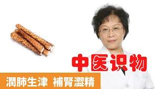 鐵棍山藥的功效與作用【保健養生】生生不息