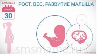 30 неделя беременности - декретный отпуск, анализы и врачи.