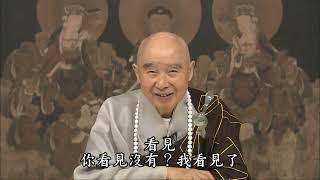 淨土大經解演義 第307集｜淨空老和尚主講