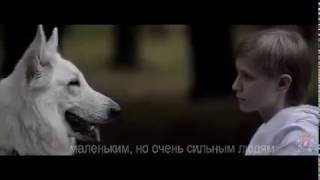 Maksim Fadeev премьера