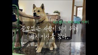 [에세이/vlog] 유럽 40일 살기 에세이 - 스페인 시골마을 | 바르셀로나  | 파리