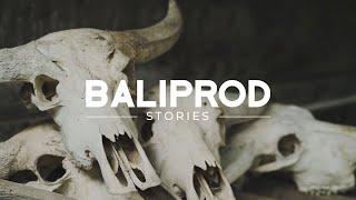 Skull Bliss: Portrait of a Skull Carver - Baliprod Stories