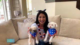 At Home With Our Family - Fourth of July Pet Safety - Home & Family