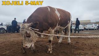 5-МАЙ/ХОЖЕЛИ МАЛ БАЗАРЫ/СКОТНЫЙ РЫНОК/BUQALAR/BIG BULLS IN THE WORLD/BIG COW