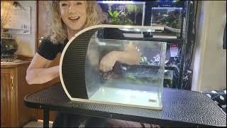 Hygger Helps Me Create My First Aquascape!! Hygger Arc Aquarium (5gal.) UNBOXING AND SETUP