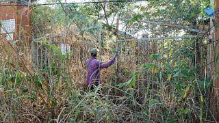 TERRIFIED Abandoned school after COVID-19, overgrown with vegetation, BEAUTIFUL TRANSFORMATION